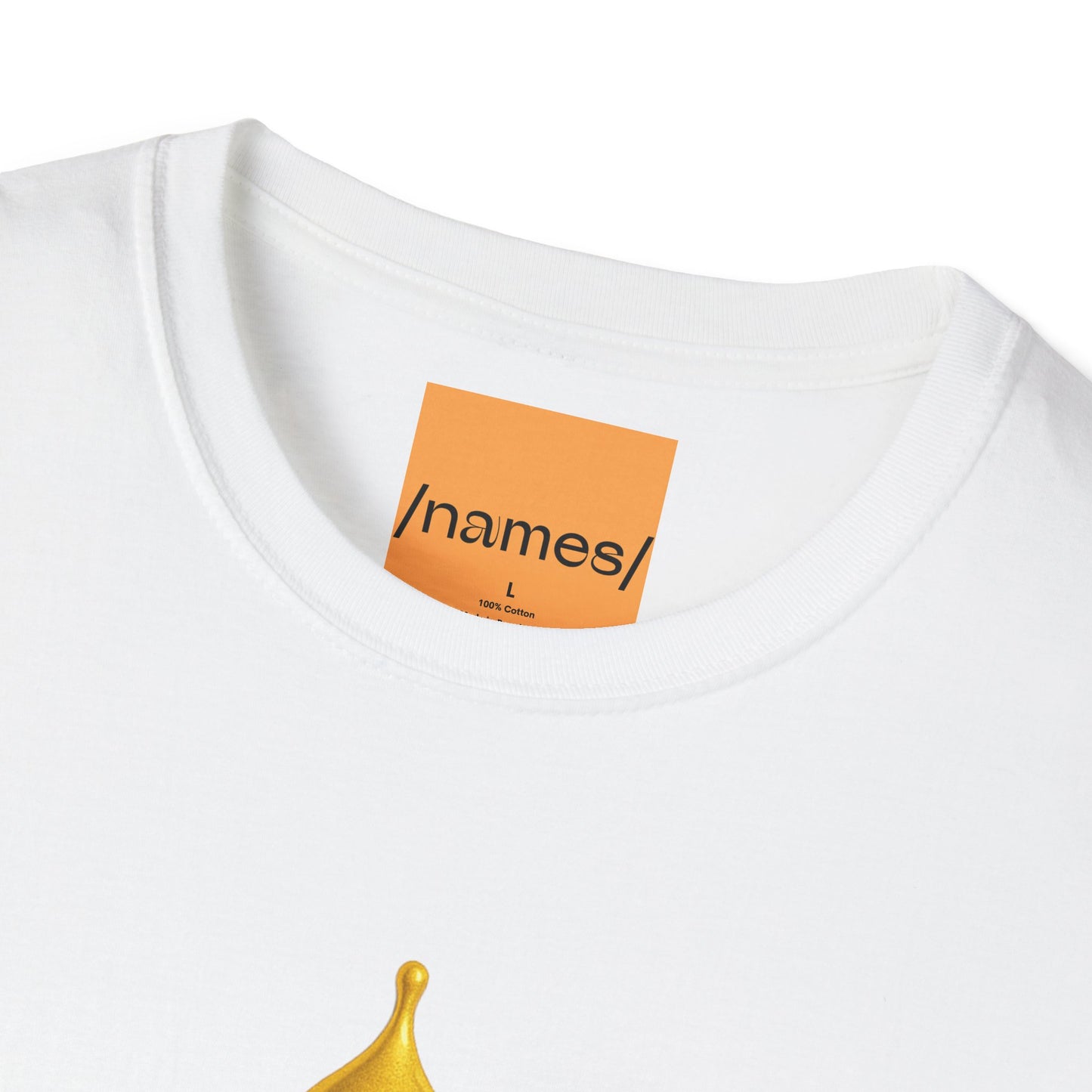 I'm Not Broke, I'm Financially Pinched T-Shirt - Pronounce Our Names
